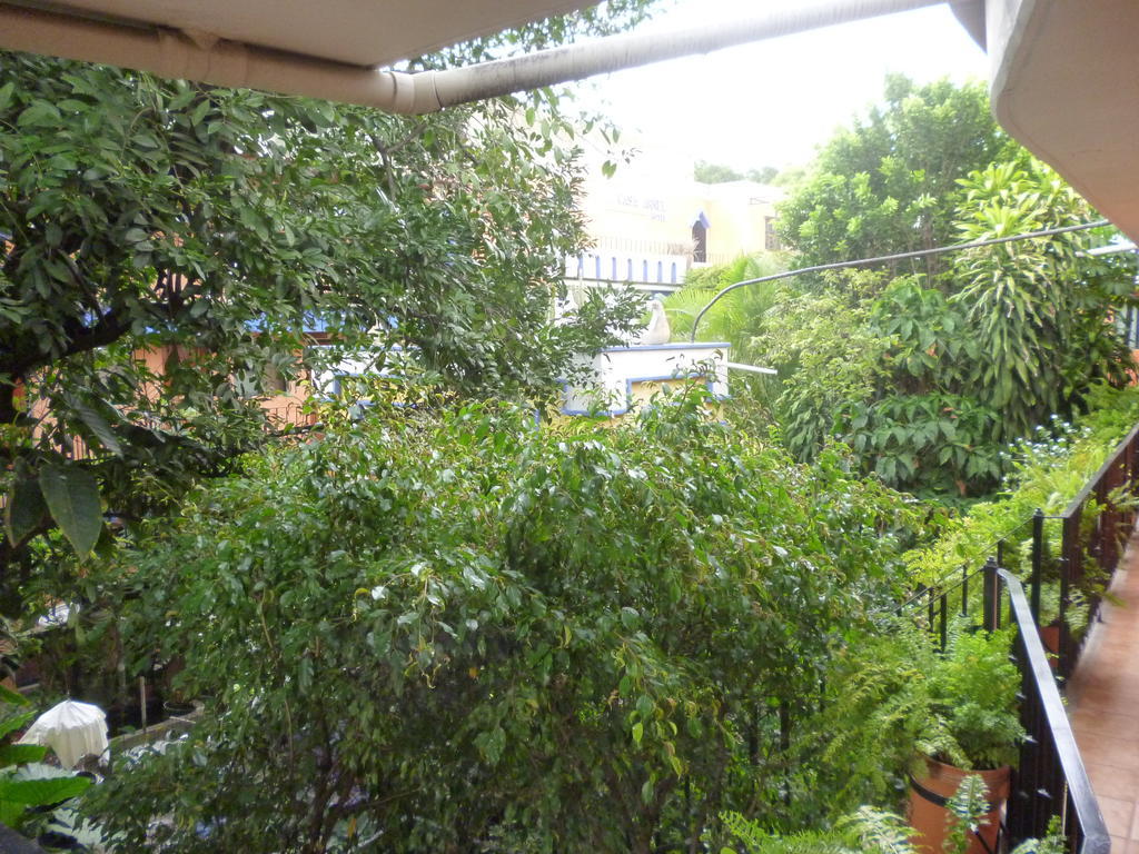 Hotel Casa Arnel Oaxaca المظهر الخارجي الصورة